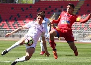 Cauqueninos cazaron al “León de Collao”