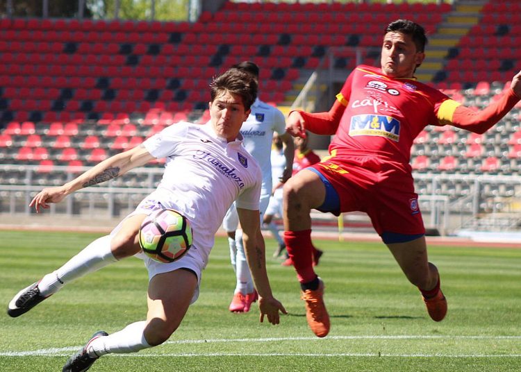 Cauqueninos cazaron al “León de Collao”