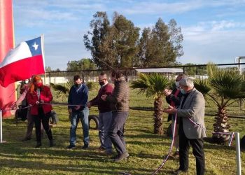 En Sud-América están más felices que perro con dos colas