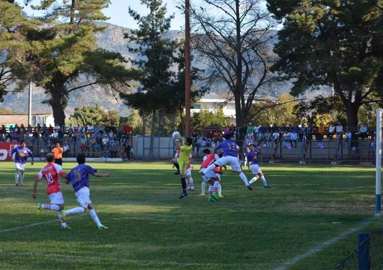 ANFA Maule apagó 44 velitas con un aniversario marcado por la pandemia