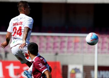 Curicanos se enredaron en suelo papayero