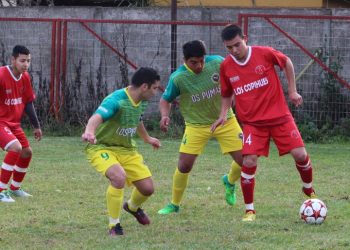 Clubes del peloteo local tienen mansa opción: Arauco inició campaña que busca mejorar los templos deportivos