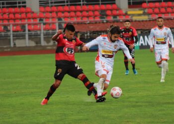 Marcoleta apostaría por “equipo que gana, repite”