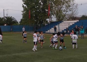 Niños y jóvenes de Talca se sumarán a las Escuelas de Fútbol Municipales