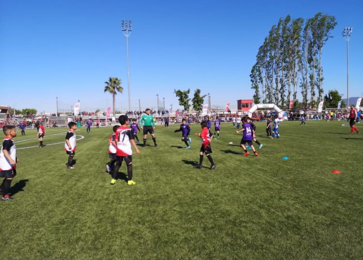 En el Maule se realizarán clínicas deportivas de fútbol
