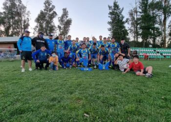 ¡Atenti cabros!: La pelotita se detiene hasta nuevo aviso en ANFA