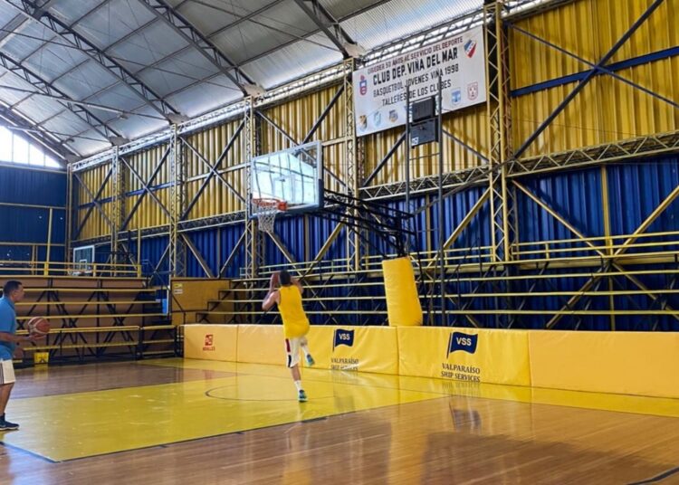 Liga VeneChile comenzará con ocho equipos y con el apoyo de Zeus