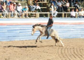 Todos a colocarse la camiseta de la solidaridad