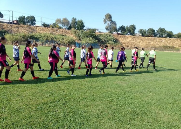La pelotita volvió al ruedo en la Liga Femenina del Maule 
