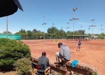 Copa Coca Cola pondrá en escena a reconocidos tenistas