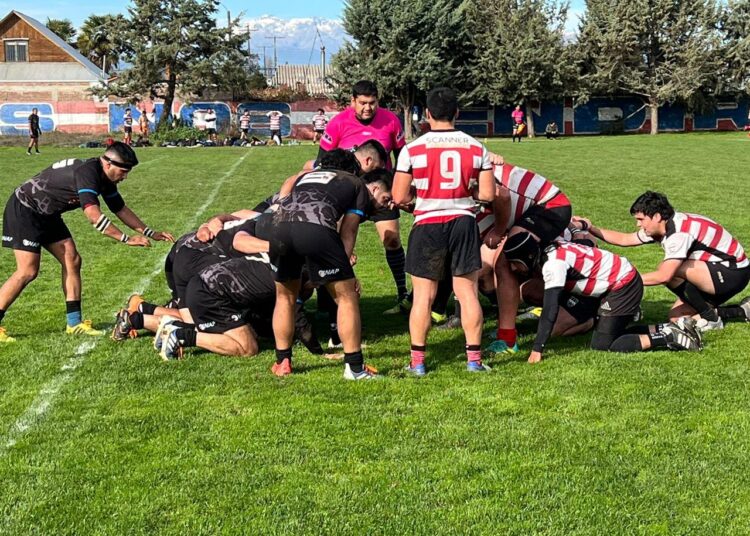 Asociación Maule Rugby con actividades en múltiples frentes