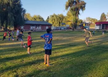 Talleres gratuitos municipales de fútbol siguen activos en Talca