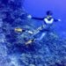 Maulina volverá a competir en la apnea o freedive