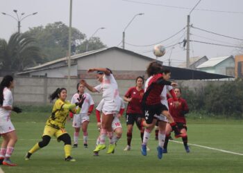Rojinegras cerraron su participación en el torneo ANFP