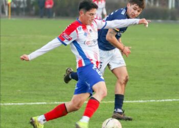 Linares remata fase regular pensando en el octogonal final