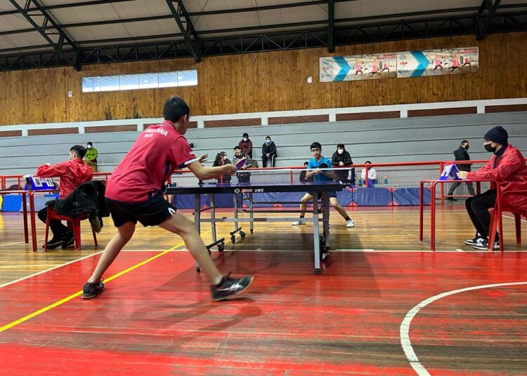 Deportistas claman por actualización del Plan de Descontaminación Atmosférica de Talca y Maule