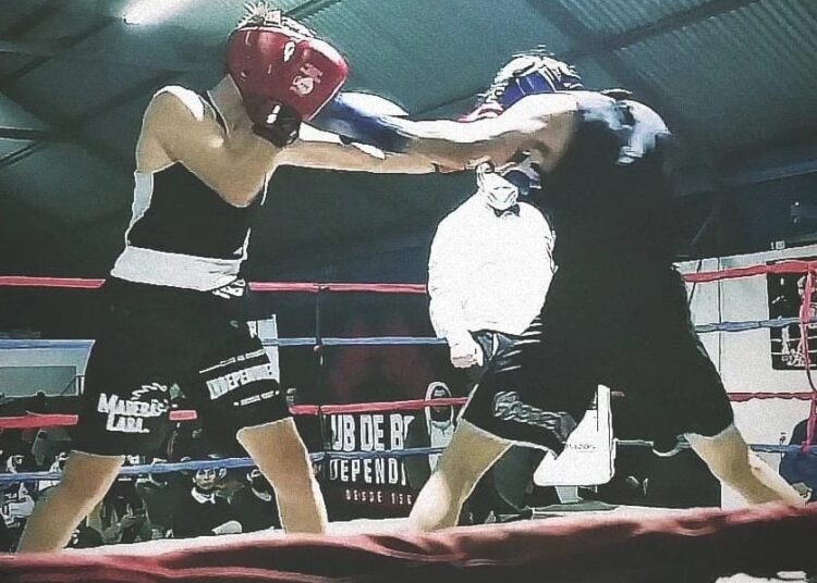 Pugilistas se subirán al ring en nueva velada de box en Talca