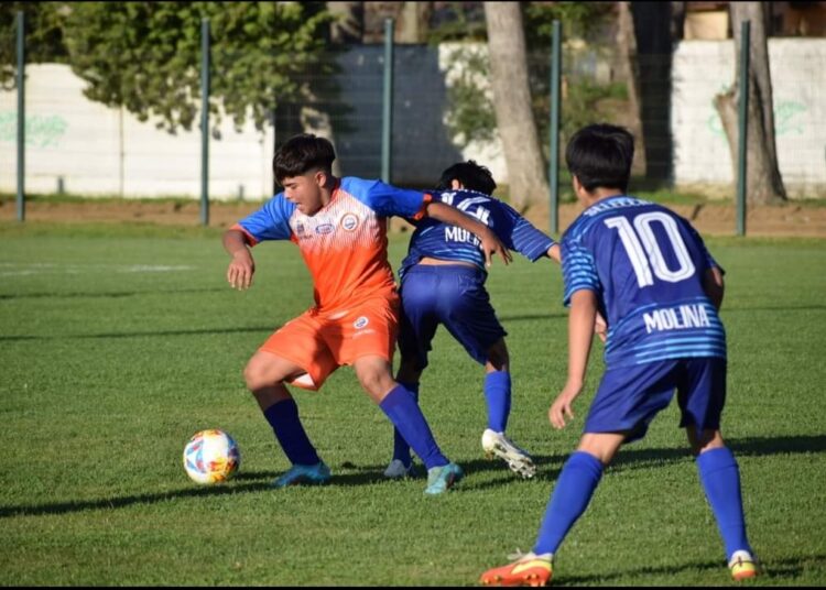 Competencia regional de selecciones regresa tras receso por las elecciones