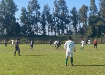 En el mundo rural talquino le colocarán pino a la fecha 6