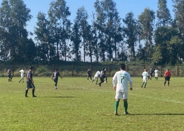 En el mundo rural talquino le colocarán pino a la fecha 6