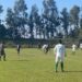 En el mundo rural talquino le colocarán pino a la fecha 6