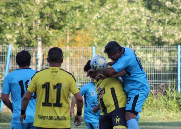 Campeonato Regional Fenfur ha tenido en competencia a los mejores del Maule