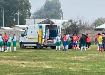 Proyecto caerá como anillo al dedo para los peloteros del Maule