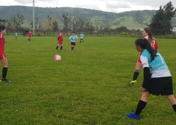 Liga Femenina del Maule busca clubes para comenzar el peloteo