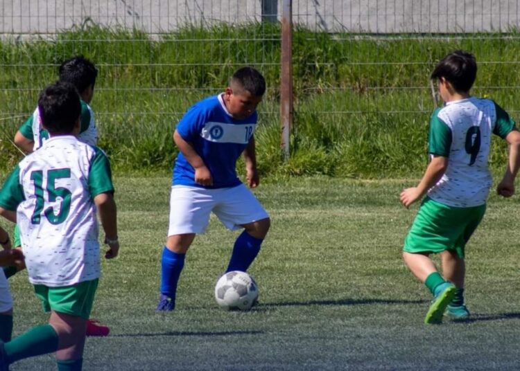 Asofútbol Talca continuará con su torneo de brocas y adultos