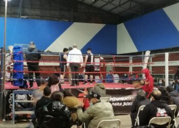 Hasta que se regularizó: Asociación de Boxeo Talca actualizó su directiva