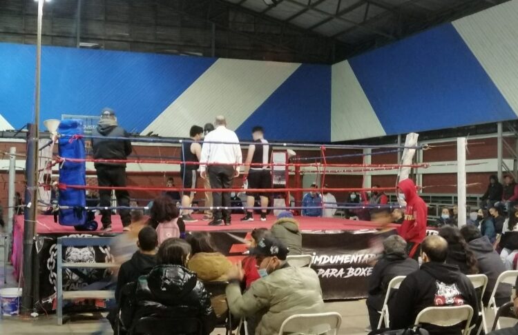 Hasta que se regularizó: Asociación de Boxeo Talca actualizó su directiva
