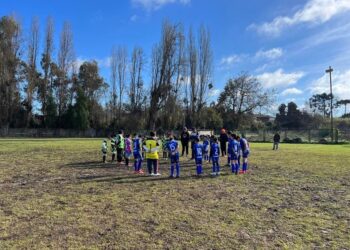 En la Asofútbol se esmeran en ponerse al día con su competencia