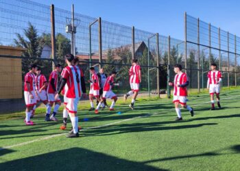 Anfa Maule entregó novedades de la programación regional