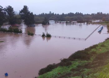 [Imágenes]Canchas del fútbol amateur anegadas con temporal
