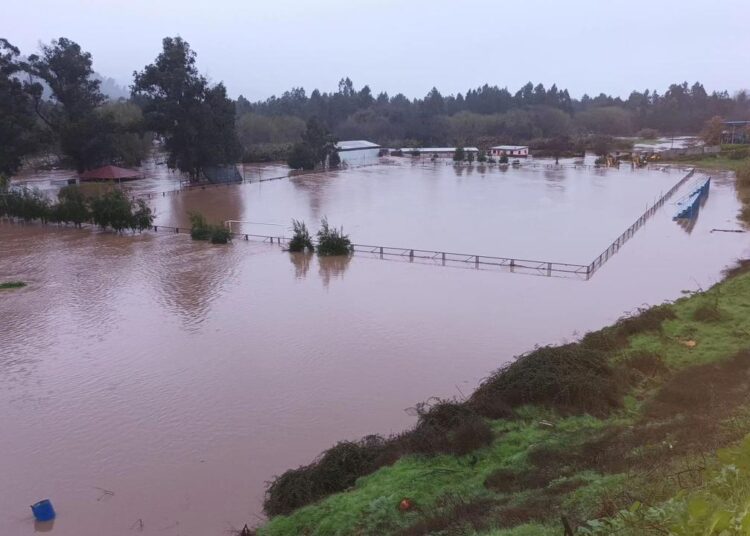 [Imágenes]Canchas del fútbol amateur anegadas con temporal