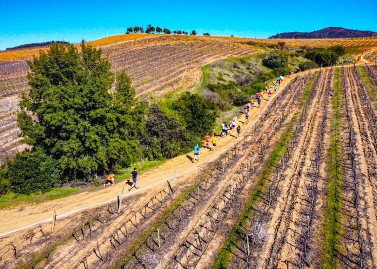 “Desafío entre viñedos” tendrá su segunda versión en San Javier