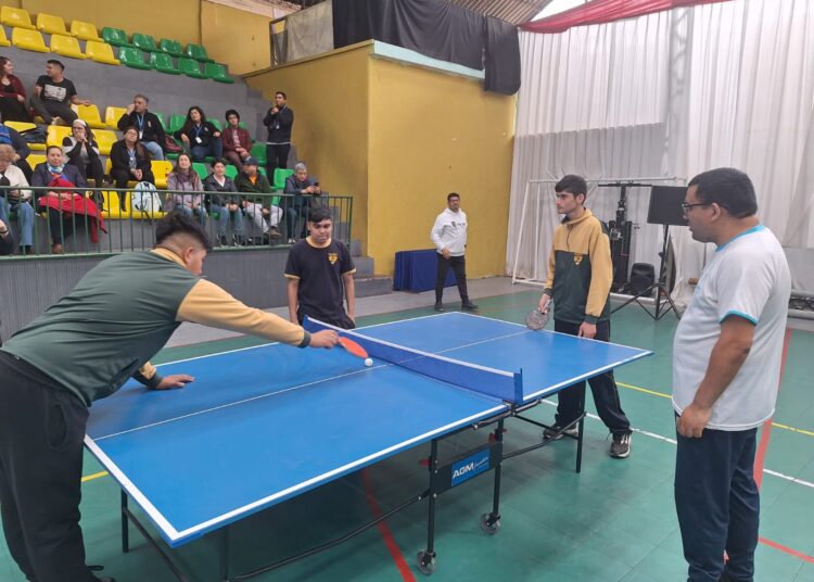 Cuarta clínica de la Asociación Paralímpica del Maule concretó una gran convocatoria