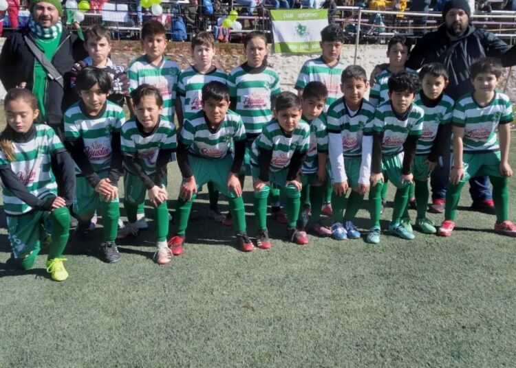 Asofútbol Talca comenzará a vivir liguillas en infantiles y adultos