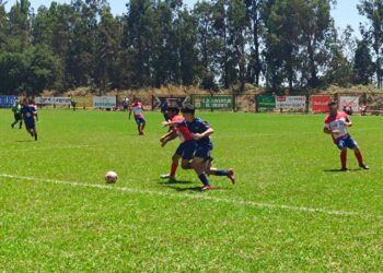 Canal Rural está a un paso de galardonar a los más bacanes