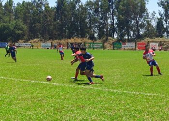 Llegó la hora de las finales: Canal Rural termina torneo con grandes mochas