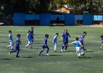 Decana talquina va por su tercera patita en brocas y adultos
