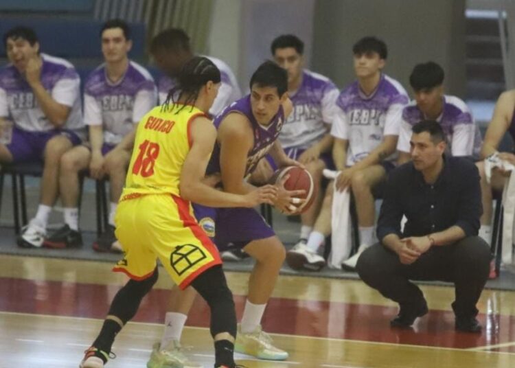 Se confirmó adversario de Español para luchar por la permanencia de la LNB