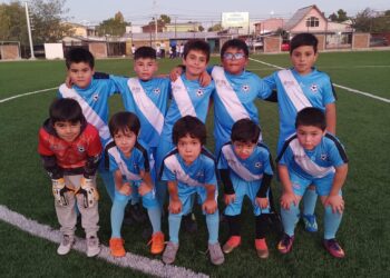 Los pequeñitos de la Andaba de Talca tendrán acción pelotera