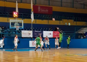 Lorito talquino consiguió puntos de oro en su pasada por Ñuble