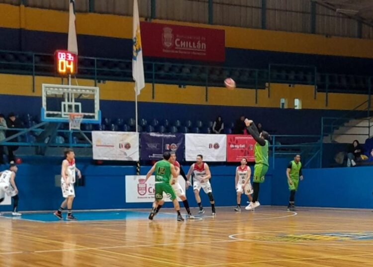 Lorito talquino consiguió puntos de oro en su pasada por Ñuble