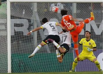 Seminario fichó a jugador de lujo y ex profesional de cara a lo que resta de 2024