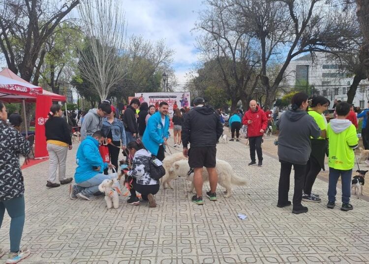 Corrida con mascotas marcó otra edición de Alameda para todos en Talca