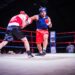 Boxeadores buscarán el nocaut en entretenida velada de boxeo en San Javier