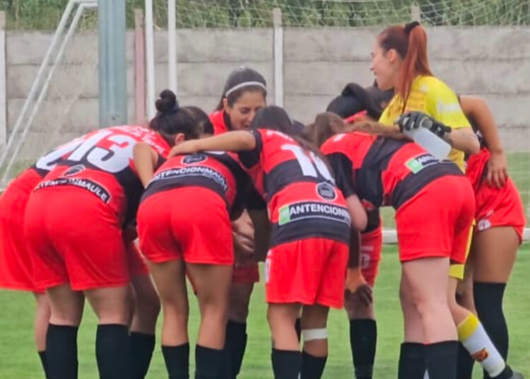 Rojinegras quieren seguir en racha en el Asenso a costa de Deportes Concepción