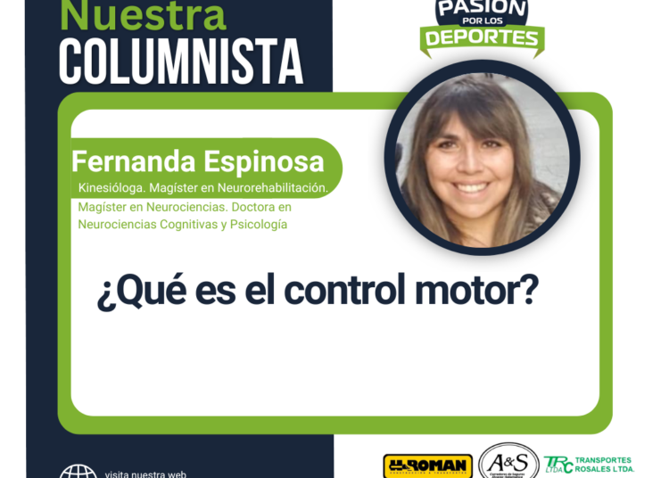 ¿Qué es el control motor?
